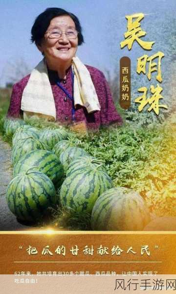 日韩人妻吃瓜网黑料51-日韩人妻吃瓜网黑料曝光,真相大白!🍉🔍