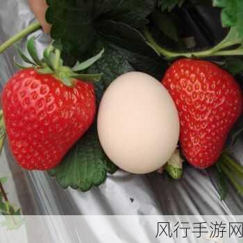 草莓视频免费_“”高清无码-草莓视频分享：高清精彩尽在掌握 🍓🎥