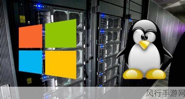欧洲WindowsVPS-探索欧洲Windows VPS的无限可能性🌍💻