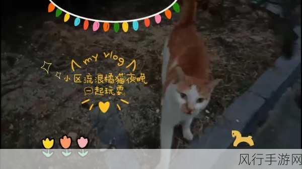 夜晚玩耍生活!动画预告及主题曲引爆期待
