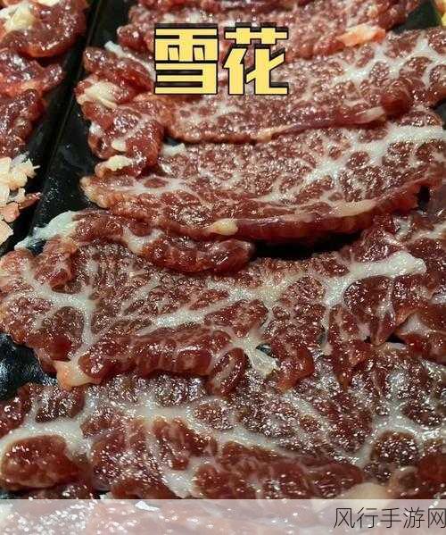 冰冷的肉哪里掉的多-探寻冰冷肉类掉落的最佳地点！🥩❄️