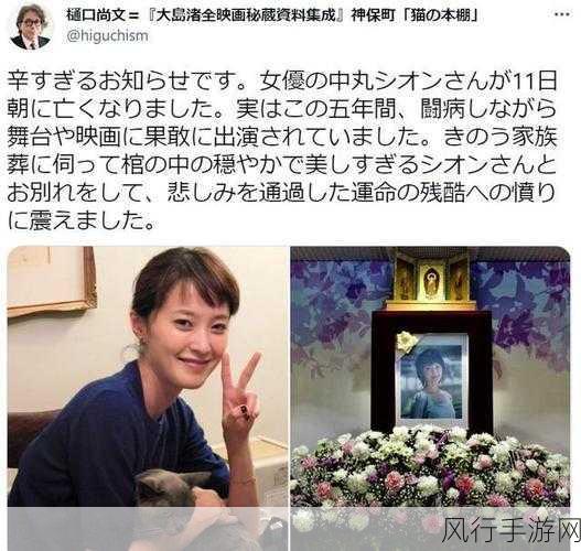 奈克瑟斯奥特曼莉子扮演者离世,手游界缅怀背后经济影响探析