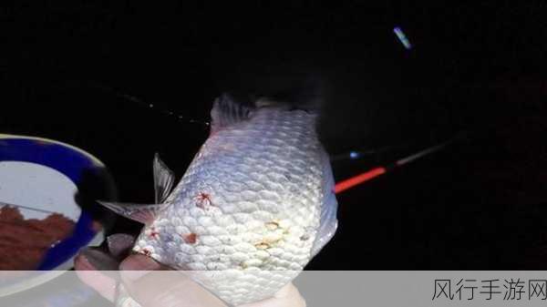 七日世界鱼潮涌动时间钓不上鱼-七日世界：鱼潮涌动却钓不上鱼的烦恼🎣🌊