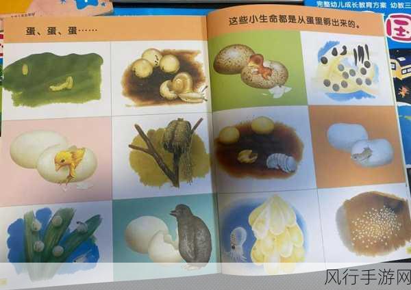 精产国品一二三产品区别视频讲解-精产国品一二三产品深入解析视频🎥✨