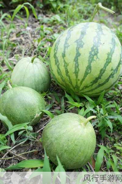吃瓜51爆料新网-吃瓜51爆料新网内幕揭秘!🍉🔍