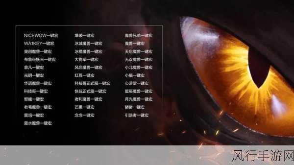 巫妖王之怒生存猎输出宏-巫妖王之怒生存猎输出宏示范🔫⚔️