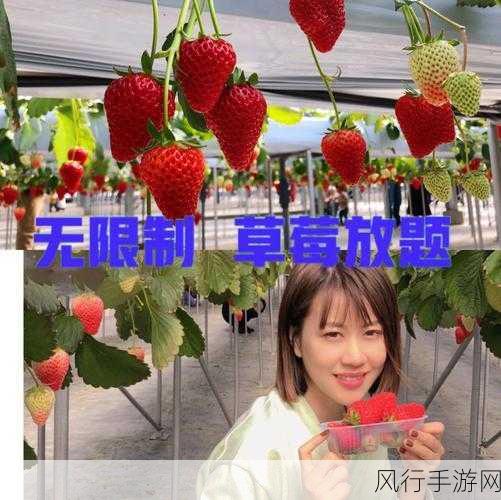 草莓视频a站-草莓视频A站：精彩内容无限探索🍓🎥