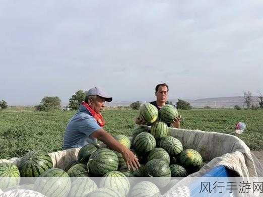 51吃瓜黑料吃瓜-热议51吃瓜黑料大揭秘！🍉👀