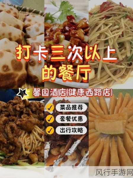 麻豆食品-拓展麻豆食品：健康美味新选择！🍽️✨