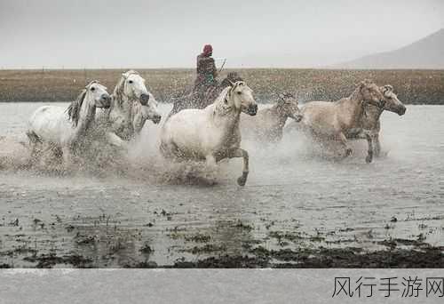 随着马的奔跑而律动皇上-驾驭马蹄，感受皇宫的节拍奔腾🏇✨