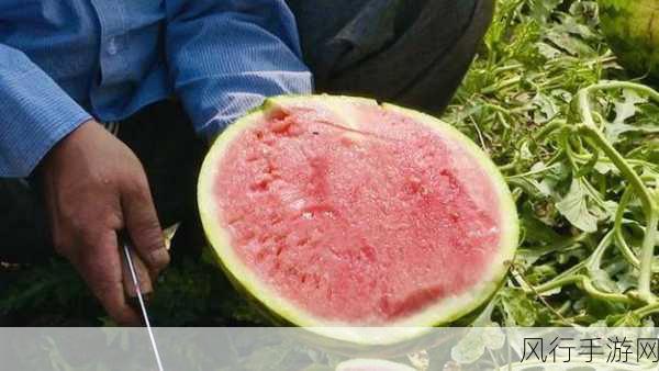 吃瓜黑料-吃瓜群众揭秘黑料内幕🔍🍉