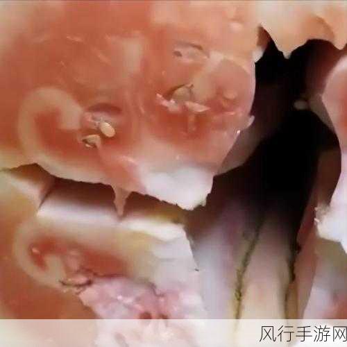 今日吃瓜51cg热门大瓜-今日吃瓜51cg最新大瓜揭秘！🍉😱