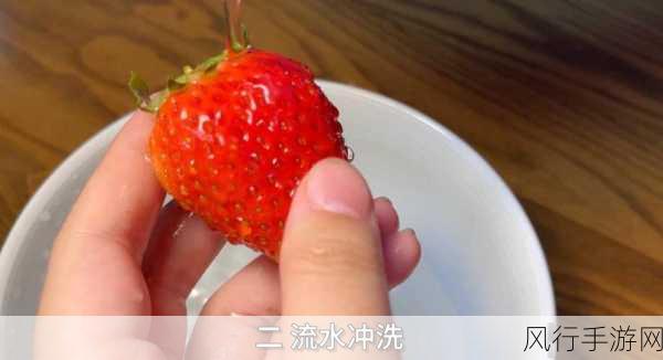 草莓A8视频-草莓A8视频精彩瞬间大揭秘！🍓🎥