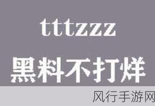 tttzzz360.us黑料-探索tttzzz360.us的神秘内幕揭秘🔍💣