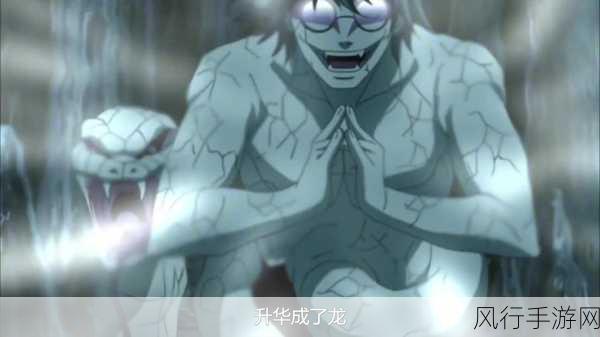 火影忍者手游，药师兜侠隐江湖技能全解析，震撼来袭！