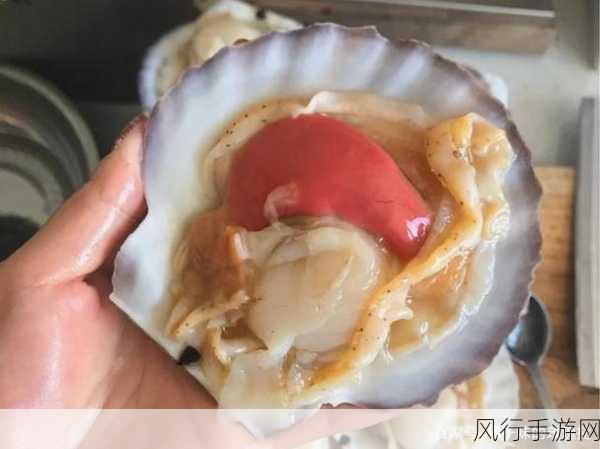 打开扇贝就可以吃火腿肠-轻松拓展扇贝，火腿肠美味尽享！🍴🐚