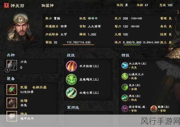 三国群英传8特殊物品加成-三国群英传8特殊物品获取攻略✨🎮