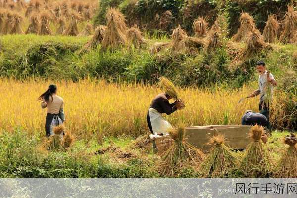 91精产国品一二三产区APP-拓展91精产国品一二三产区APP，助力农民增收🚜🌾