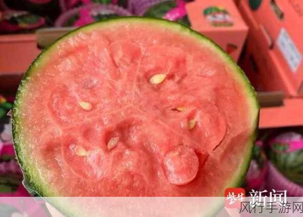 黑料吃瓜中心今日吃瓜-黑料吃瓜中心今日再曝新料!🍉👀