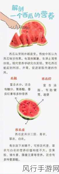 天天吃瓜黑料在线下载破解-轻松获取天天吃瓜黑料破解秘籍🍉📥