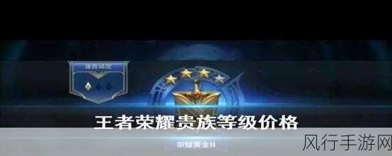 王者荣耀贵族等级价格全解析,你想知道的都在这