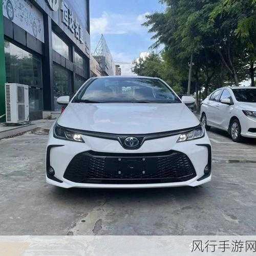 哪一年卡罗拉质量最好-哪一年卡罗拉质量最佳？🚗✨