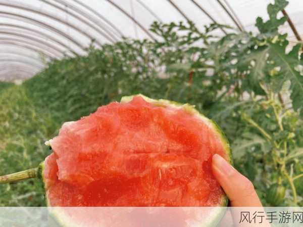 五一吃瓜今日吃瓜热门大瓜莫里秀-五一吃瓜今日热门大瓜揭秘🍉🤣