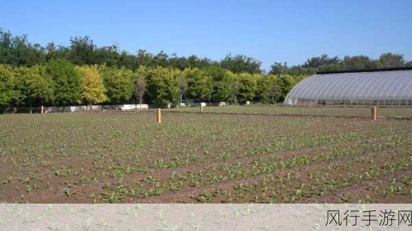 国产一区二区产区-拓展国产一区二区产区，推动经济发展📈🌱