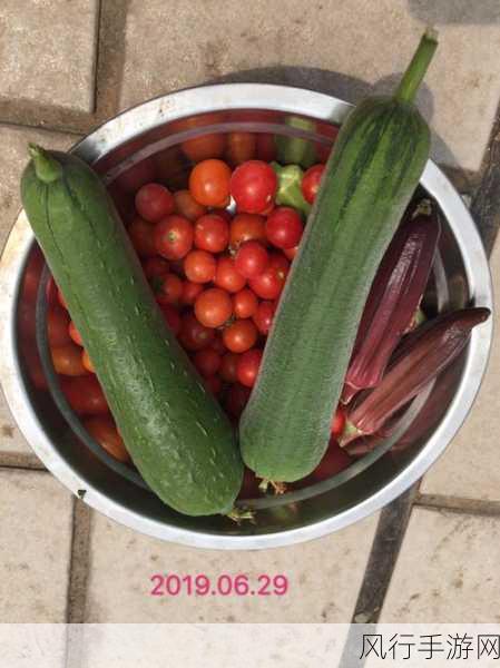 丝瓜秋葵草莓香蕉榴莲绿大全-丰富多彩的丝瓜秋葵草莓香蕉榴莲精选 🌱🍓