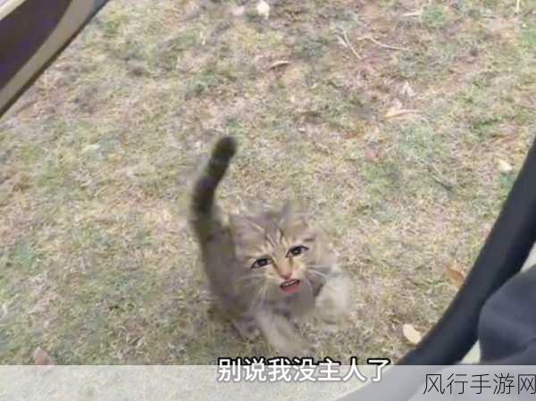 跪着主人走到面前应该怎么办-跪着主人走到面前的应对策略✨🐾