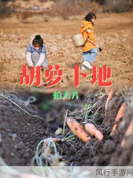 小南与长安拔萝卜-小南与长安的萝卜拔除大冒险🥕🌟