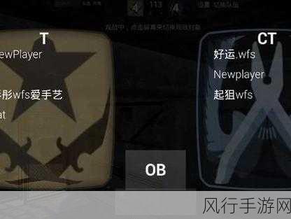 暴躁CSGO女性玩家技巧-提升暴躁女性CSGO玩家的技巧与心态💪🎮