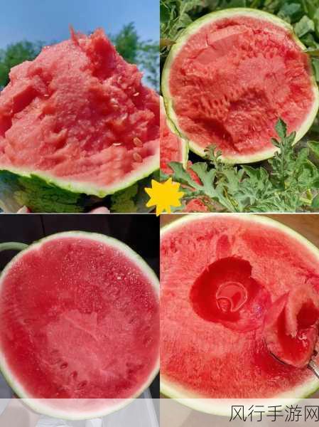 每日吃瓜黑料266fun-揭秘每日吃瓜黑料新鲜事 🌟🍉
