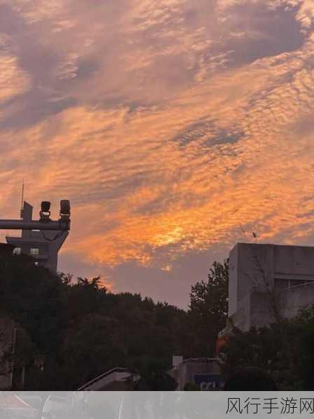 大地资源网更新免费播放视频-拓展大地资源网最新免费观影平台🎥✨