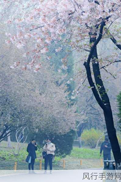 两个人免费看的www视频百花视频-两人共享百花视频，免费看精彩内容！🎥🌸