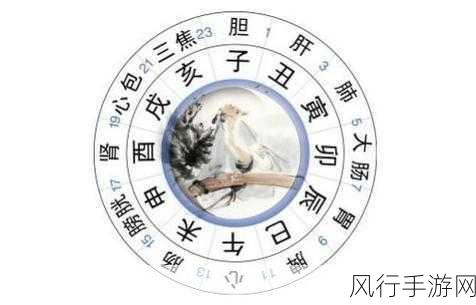 梦幻西游时辰之谜,时间背后的隐藏玄机