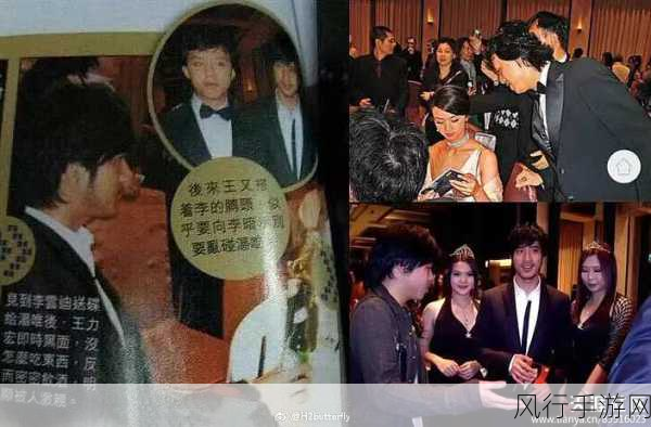 王力宏李云迪基情背后的手游市场风云,跨界合作与粉丝经济深度剖析