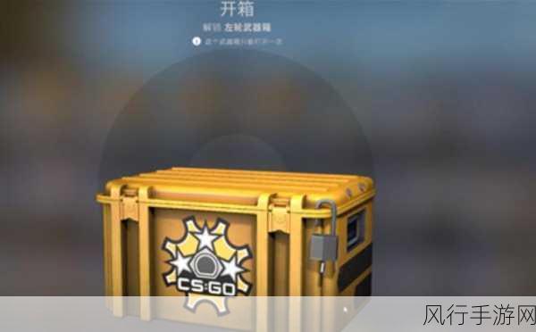 csgo一个箱子一个钥匙多少钱-CSGO箱子与钥匙的最新价格揭秘🔑💰