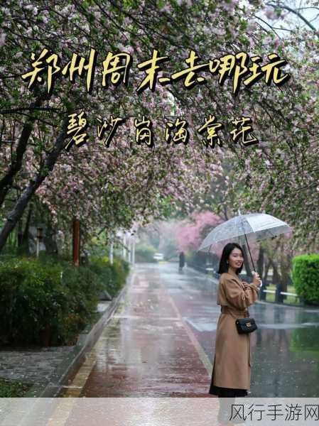 雨境迷踪,在冰冷雨中绽放的温暖经济奇迹
