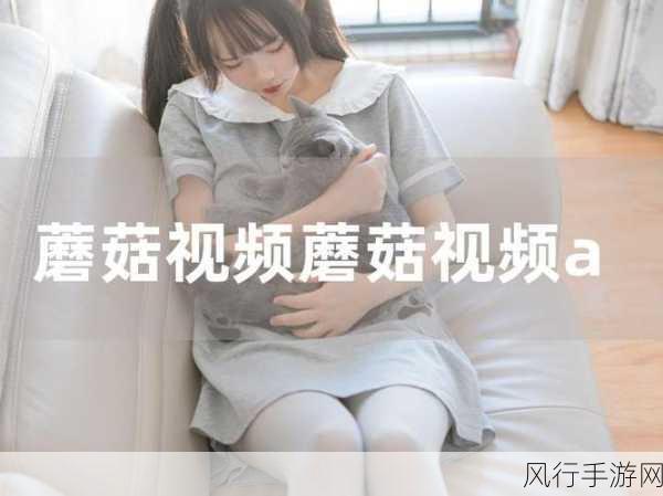 蘑菇视频吃瓜爆料在线观看-“蘑菇视频爆料吃瓜盛宴,快来围观!🍉🎥”