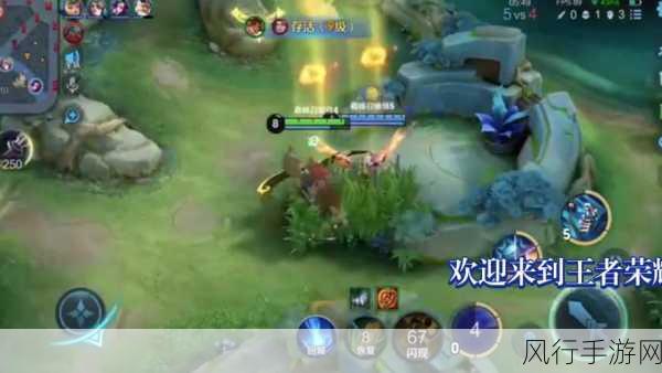 王者荣耀,双减速伽罗秘籍,制霸战场的无敌射手攻略