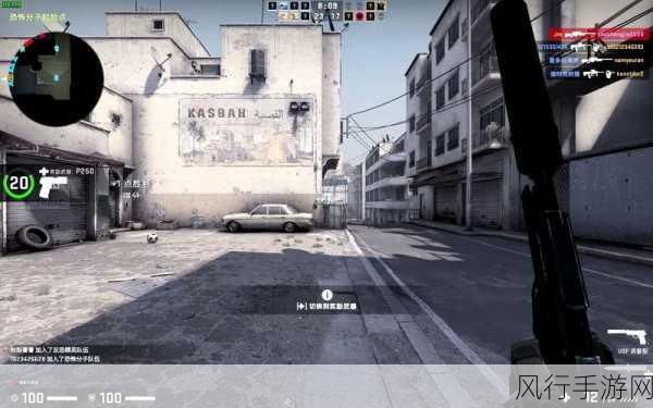 55岁大妈玩csgo-55岁大妈勇闯CSGO世界,惊艳全场!🎮✨