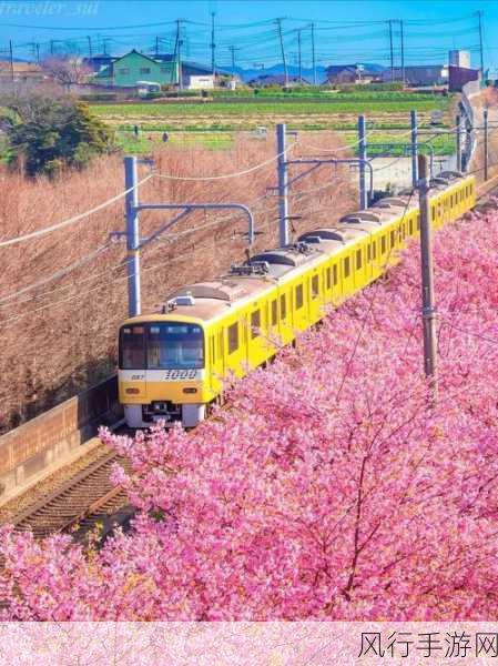 一卡二卡日本-探索一卡二卡的日本魅力之旅 🌸🇯🇵