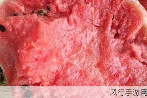 国产吃瓜黑料一区二区-国产吃瓜黑料专区全新升级！🍉🔥