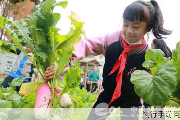 猫娘拔萝卜手机游戏怎么玩-猫娘拔萝卜手游玩法全解析🐱🥕