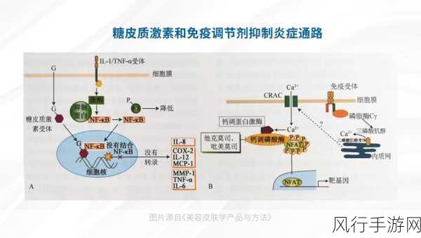 九幺高危风险免费在线观看-九幺高危风险全程解析与观赏📊⚠️