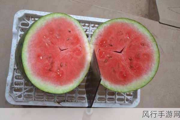 黑料吃瓜爆料不打烊-黑料揭秘不断，瓜友们速来围观！🍉🔥