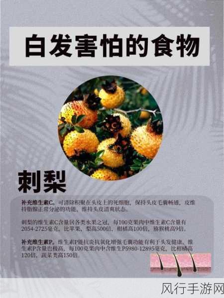 黑料51-揭秘黑料51背后的真相与阴谋 🔍🕵️♂️