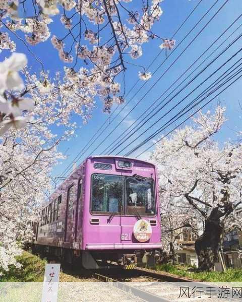 铁路日本!轨道之旅-拓展铁路日本！探索轨道之旅的魅力🚄🌸