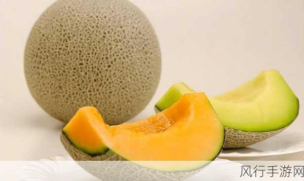 www.51爆料网每日爆料黑料吃瓜-每日爆料黑料,吃瓜不停歇!🍉🔍